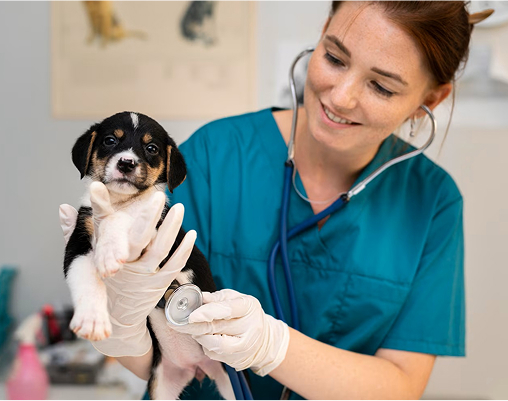 image 2025 08 25T095610.878