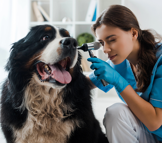 image 2025 08 25T105021.316