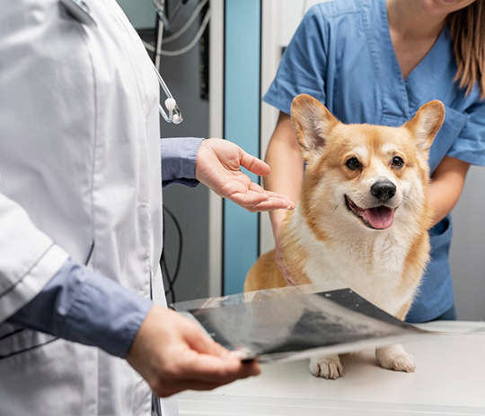 image 2025 08 25T105054.845