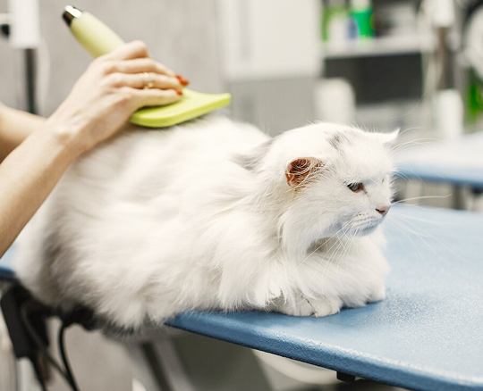 image 2025 08 25T105108.006