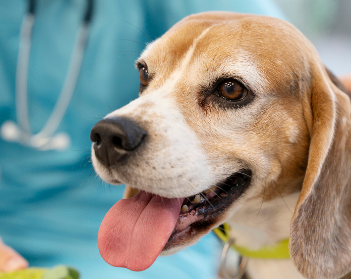 image 2025 08 25T105141.571