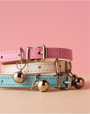 image 2025 08 25T110325.177