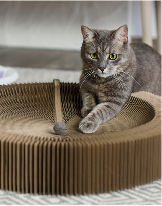 image 2025 08 25T110628.989