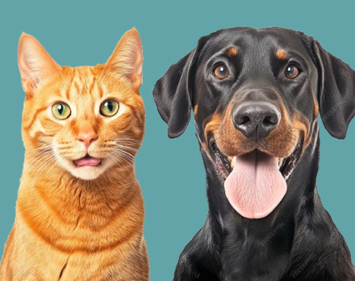 image 2025 08 25T114420.800